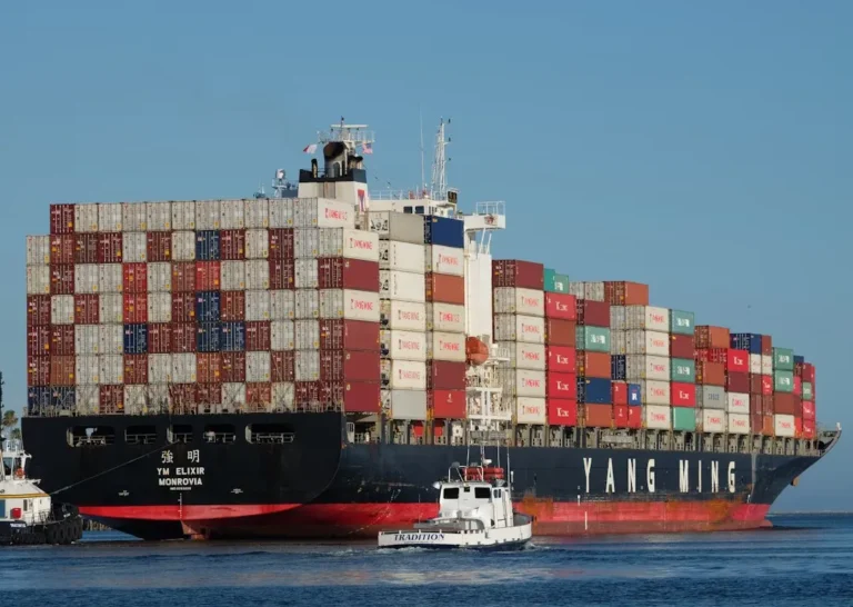 Filter Trader, Purchaser or Importer