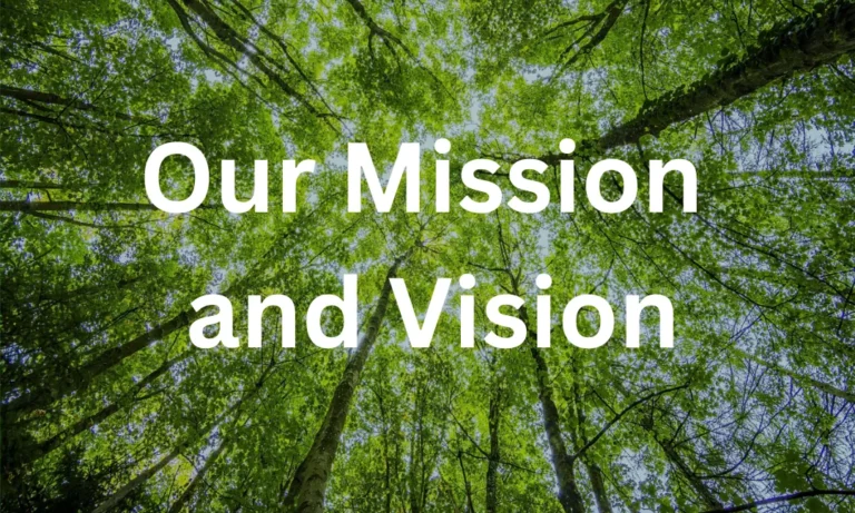 Filter supplier's Mission and Vision